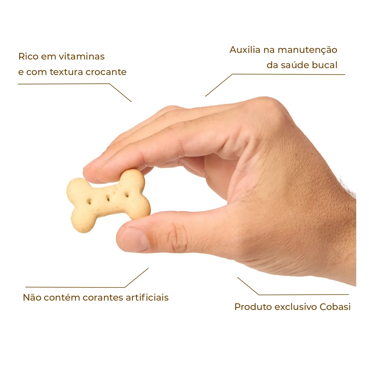 Petisco Biscoito Joy Cook Filhotes